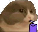 sipping emoji