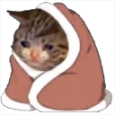 catBlanket emote