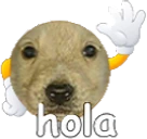 hola emote