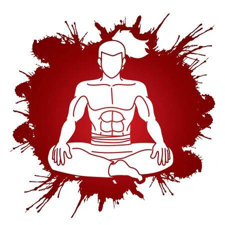 ninja_meditation emote