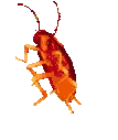 ROACHEST emote