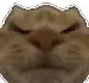 Sleepin emote