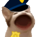 copCat animated emote