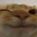 Wimk emote
