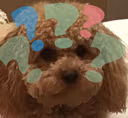 Puppy_Questionmark emote