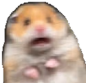 Hamster_spooked emote
