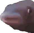 MMMMLeave emote