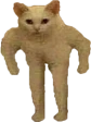 he emote