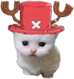 Choppert emote