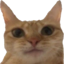 caniseeyour emote