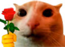 catRose emote