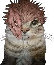 sukunaEHH emote