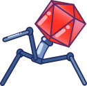coronavirus emote