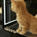 Programming emote