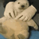 Glink0cute emote