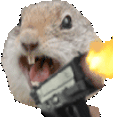 squirrelHadEnough animated emote