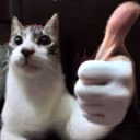 JOIA emote