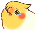 birbcry emote
