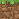 minecraftblock emote