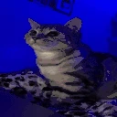 WatchingStream emote