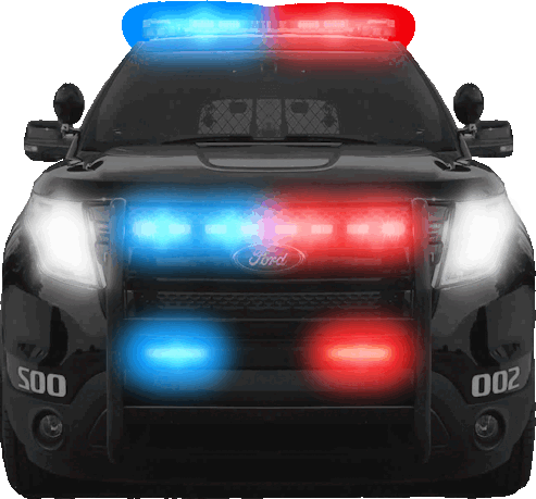 Police animated emote