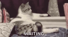 waiting emote