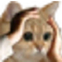 NyatLikeThis static emote