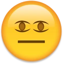 WTF_Did_U_Post emote