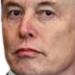 elonwtf static emote