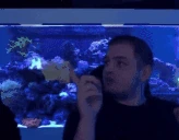 colazero emote