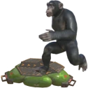 APE emote