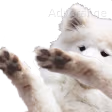 boofdab emote