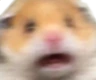 AAAA emote