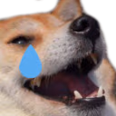 dogekekcry emote