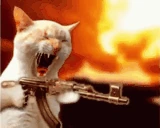 RAHHHHHHHH emote