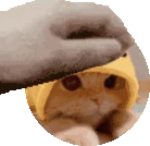 Nyder_PetPet emote