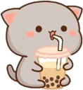 gray_bobacat emote