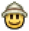 safari emoji