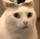 TuCuando emote