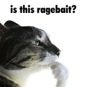 IsThisRagebait emote
