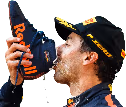DR3_shoey emote