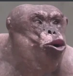 apestrong emote