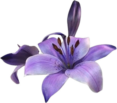 Purpleflower emote