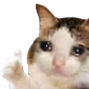 ThumbsUp emote