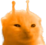 olorp emote