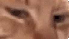 JudgeW emote
