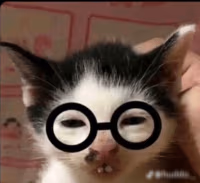 Nerdcat emote