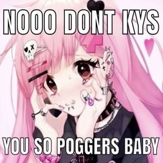 nooodontkysyourpoggers static emote