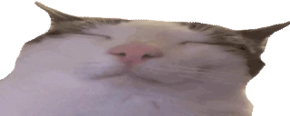 plinkVibe emote