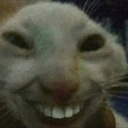 lolXd emoji